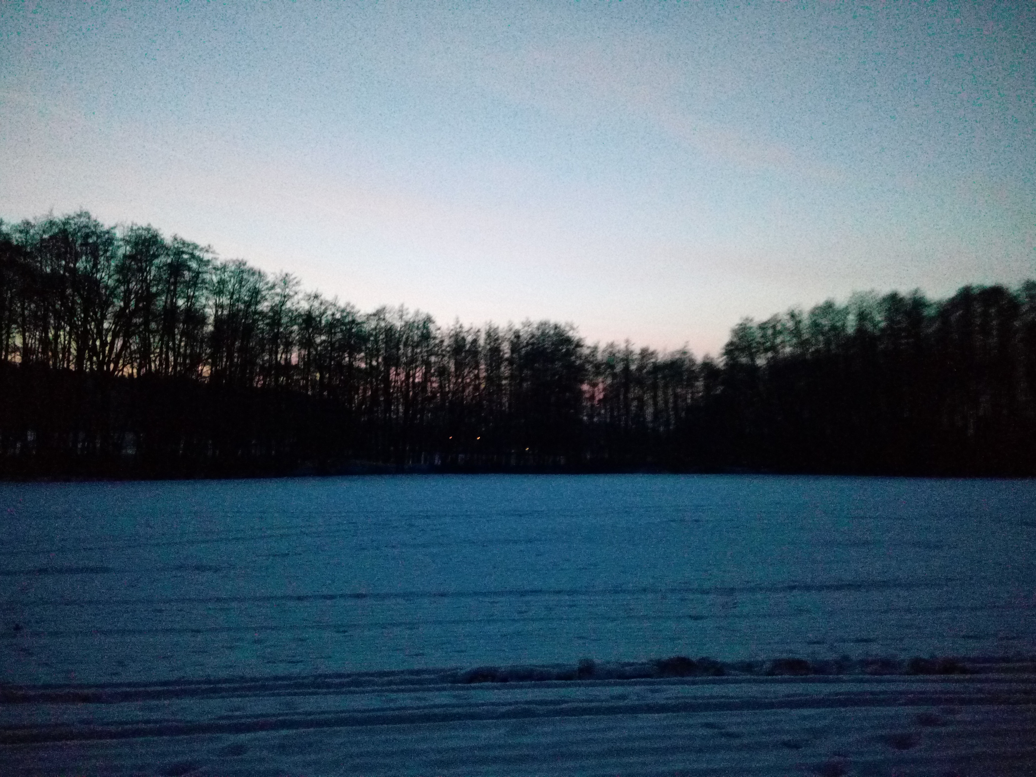 Flugzeuge im Wald im Winter