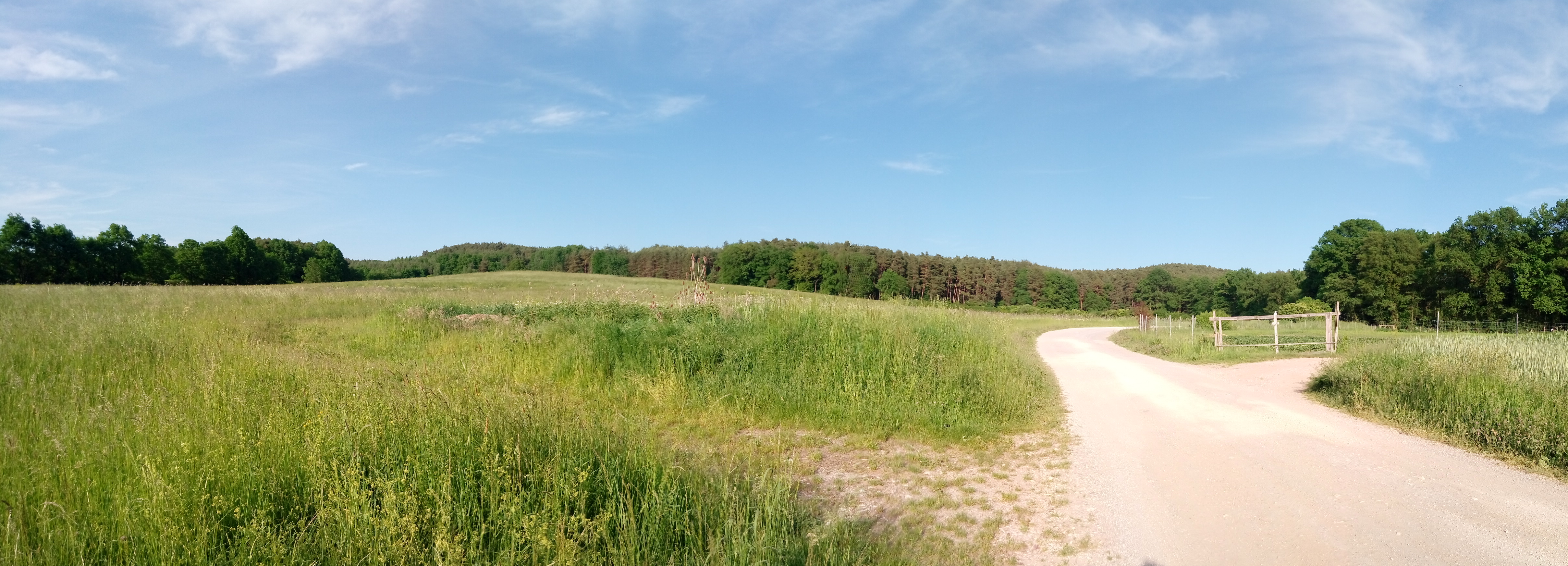 Flugzeuge und Kinder