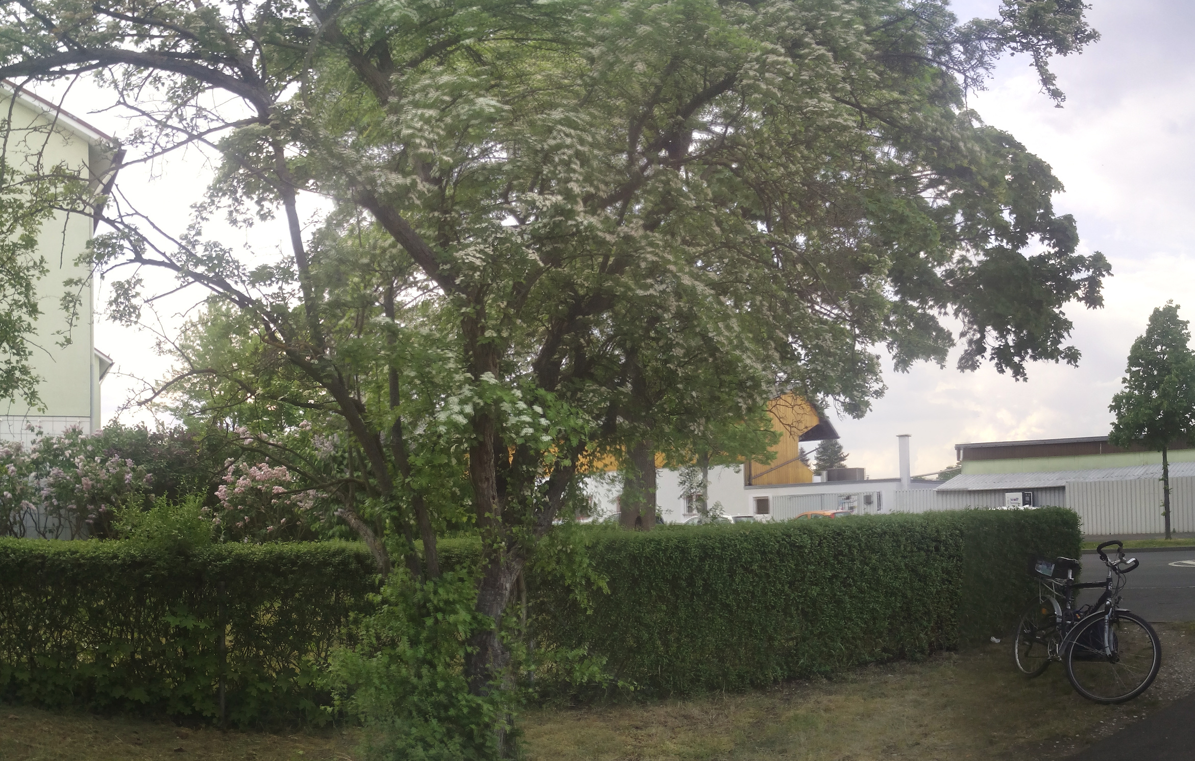 Das Haus vor dem Sportplatz